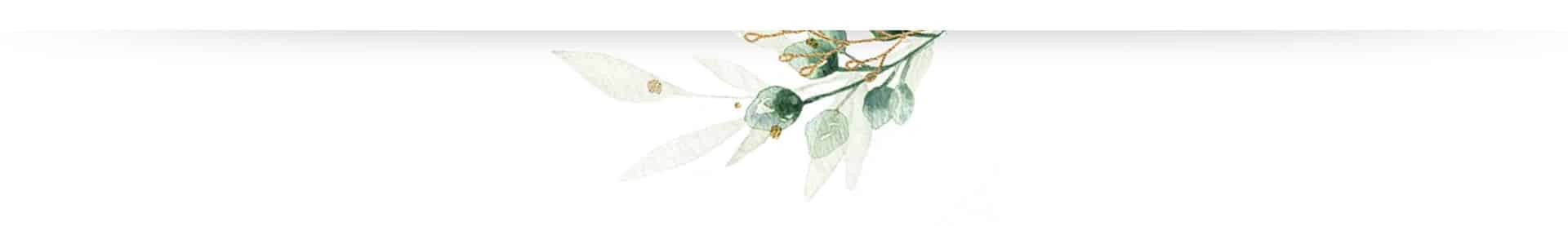 branch
